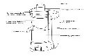 N50-1.webp