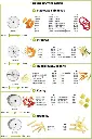 24476-2.webp